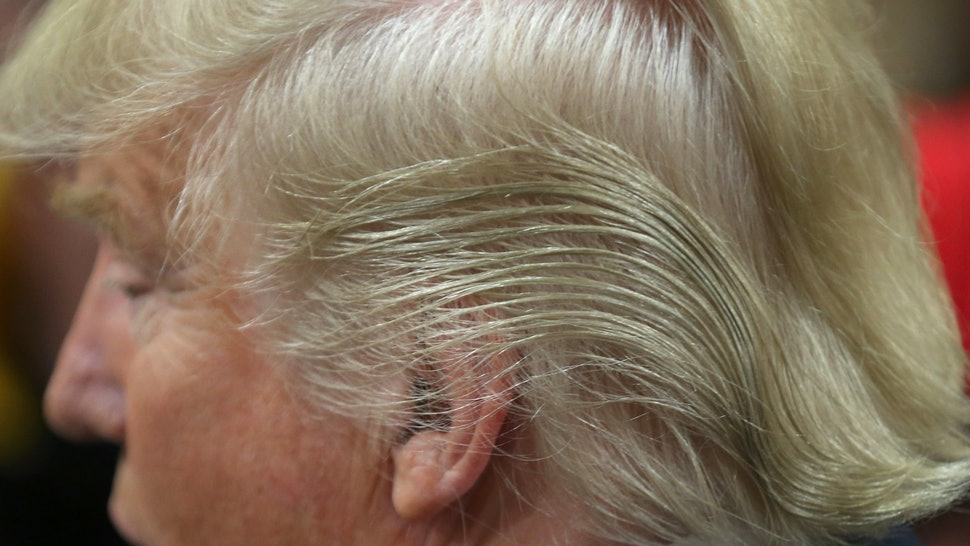 Trump's hair